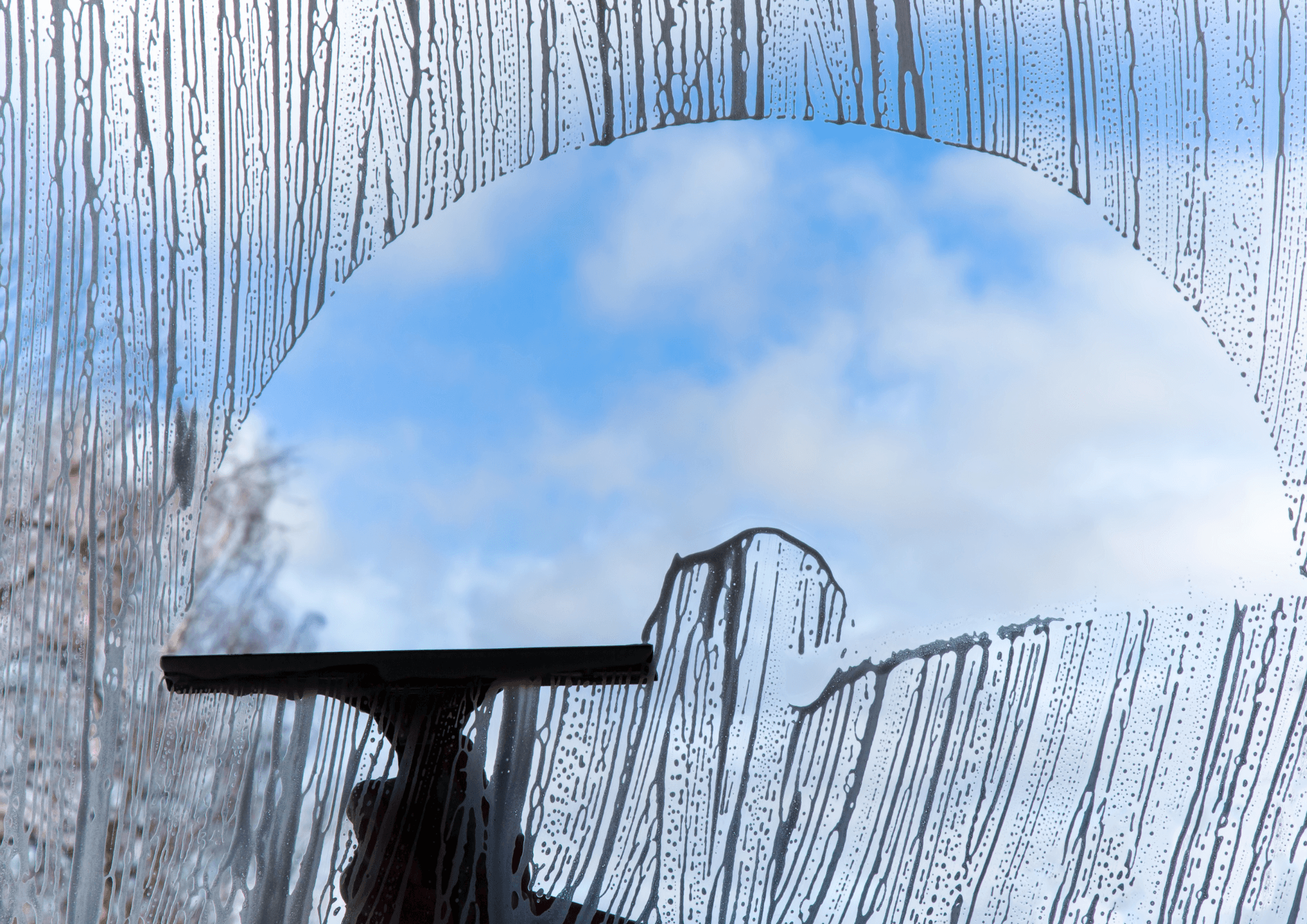 Techniques et spécialités